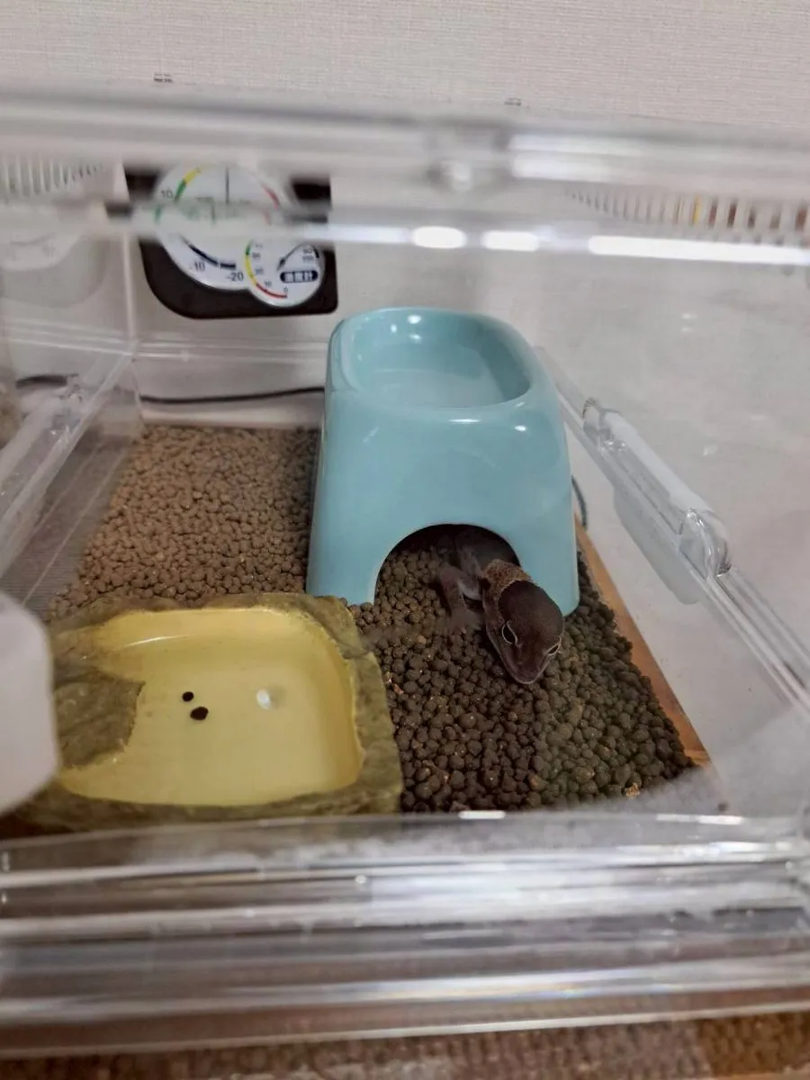 ケージの短い側の面にある扉を開けた状態