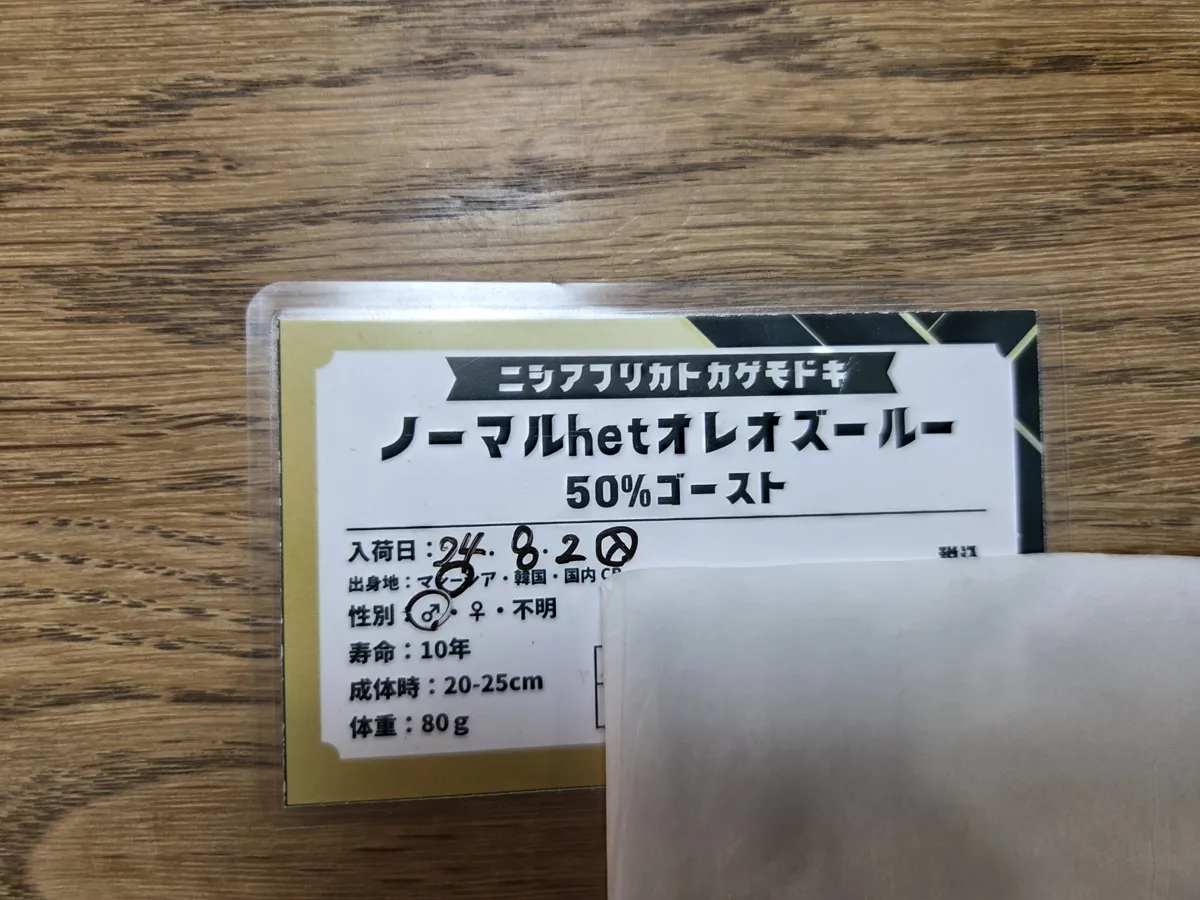 ショップの個体カード